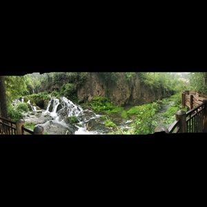 Meet your Posher, Ella